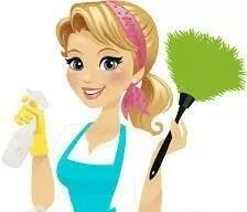 Sprzątanie domów , mieszkań. Profesjonalnie i Tanio
