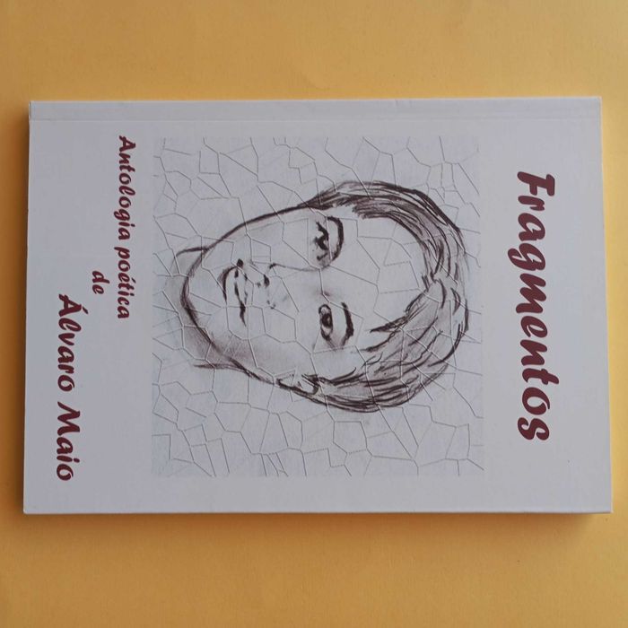 Coleção de Livros Mistos - Autores Variados - Conjunto 8