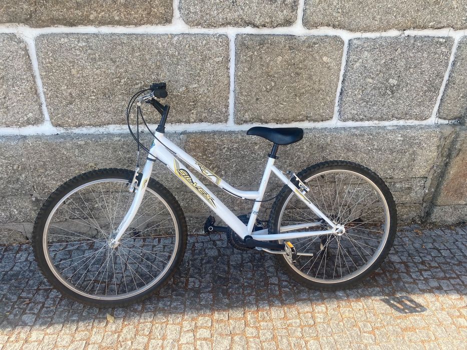 Bicicleta feminina