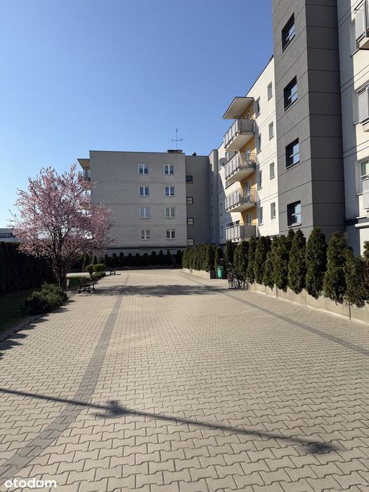 Sprzedam Mieszkanie Dwupokojowe 55,60 M2 Grójec Ul. Zdrojowa