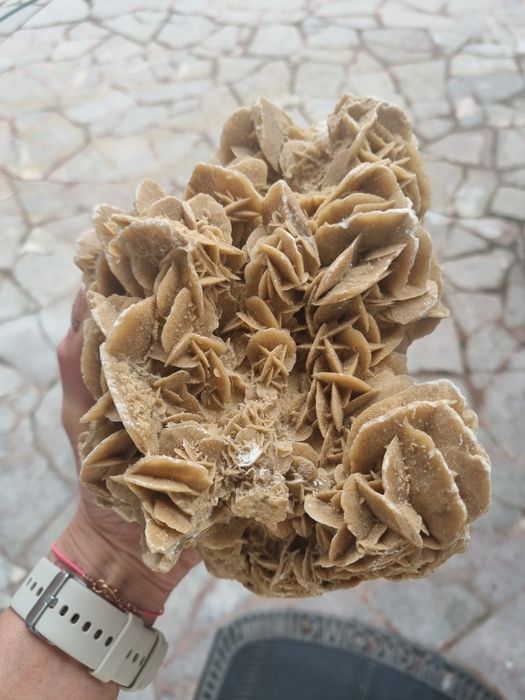 Róża Pustyni minerał