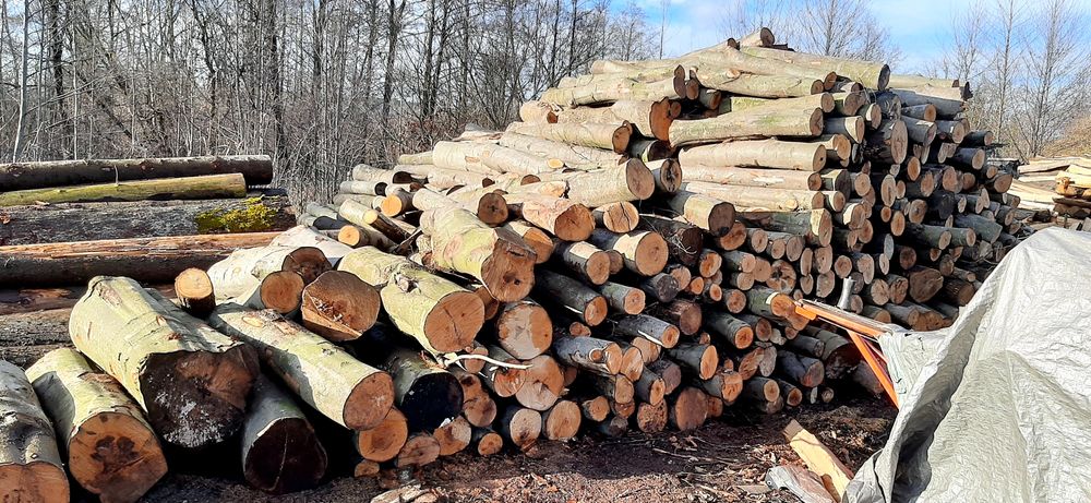 Drewno kominkowe Drzewo opałowe deski szalunkowe  dębowe bukowe