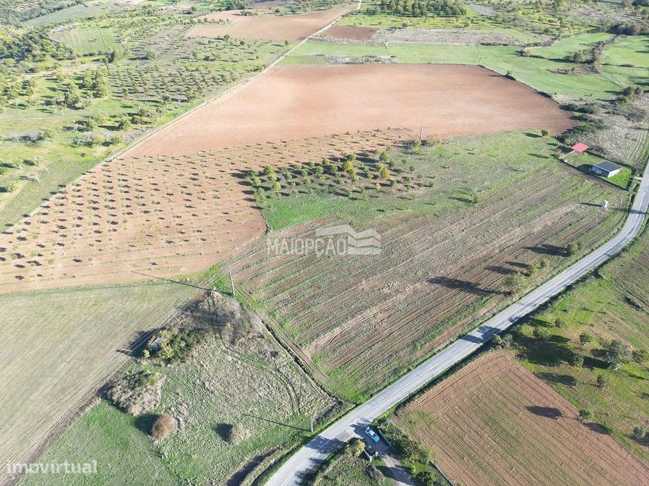 Propriedade C/Plantação de Nogueiras e Castanheiros