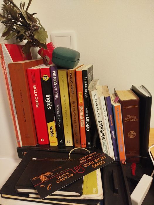 Livros semi novos