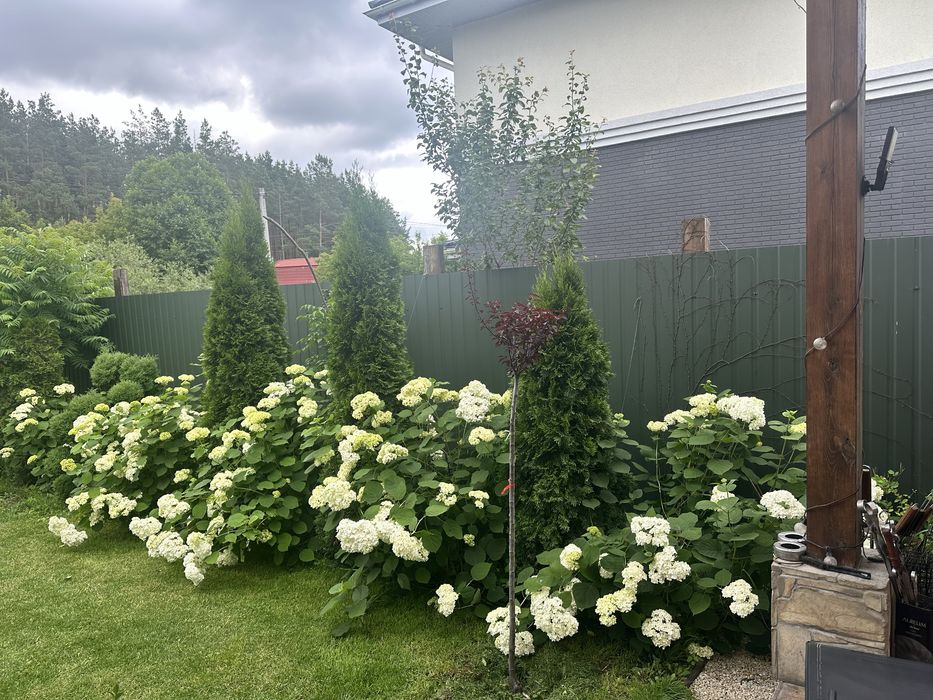 Оренда будинку подобово, Ранчо, чан джакузі, камін, ліс, генератор