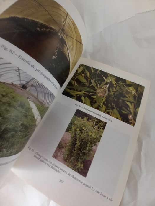 Manual de Sanidade de viveiros florestais