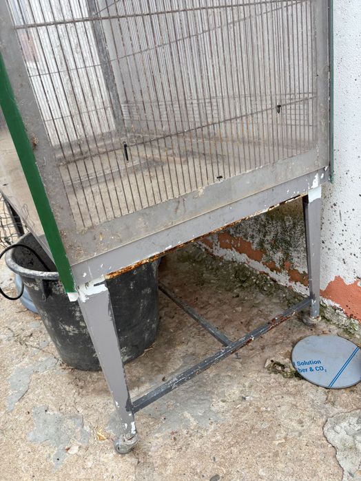 Gaiola Exteriror pássaros