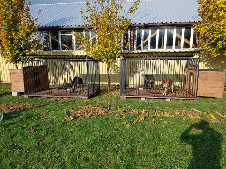 Kojec Klatka Zagroda Buda dla psa 2mx2m Montaż dostawa.