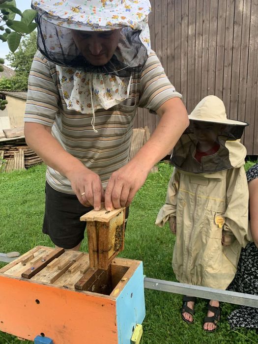 Бджоломатки карпатка, карніка сезон 2026