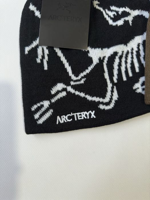 Шапка Arc’teryx Bird Head Toque y2k