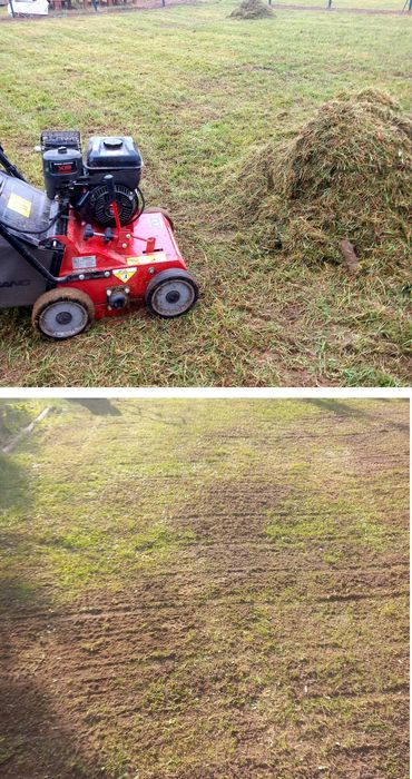 wertykulacja trawnika, glebogryzarka separacyjna, maszynowy siew trawy