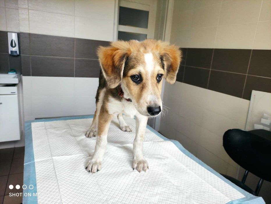 Siedlce, czyja zguba?