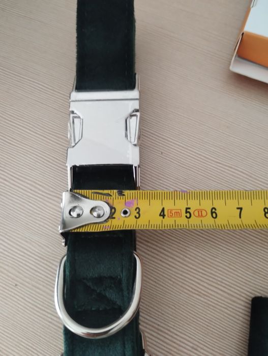 Elegancka obroża dla psa