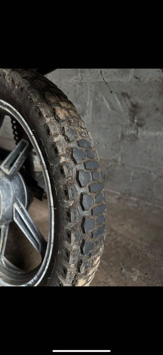 Мустанг регіон 200