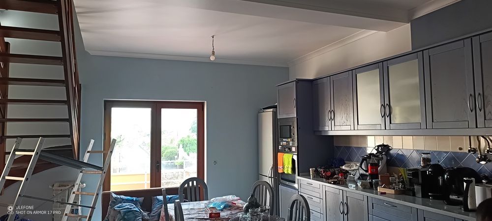Pintor profissional422068335999068164