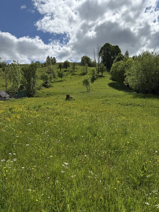 Продається ділянка  з виходом  до річки у с. Негровець