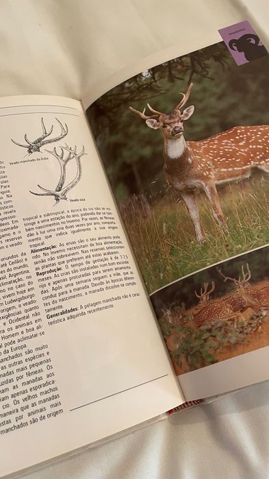 Livro O Mundo Da Natureza, Mamíferos