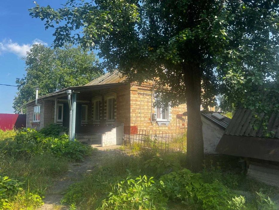 House in Byshiv, Fastivskyy rayon - View 4