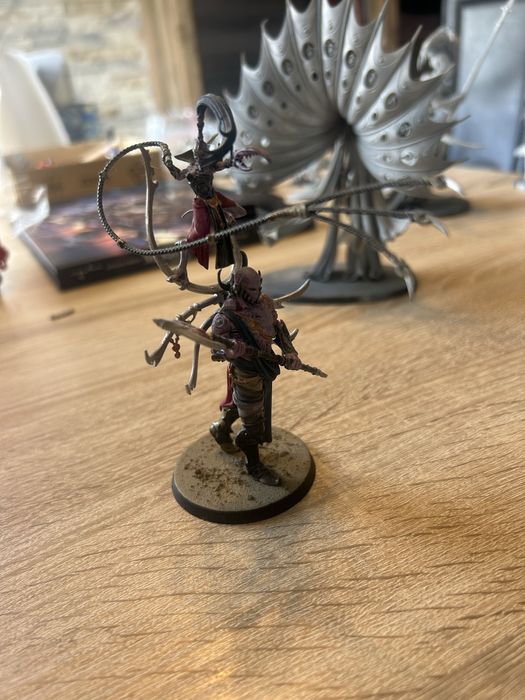 WARHAMMER AoS / 40K – Daemons of Slaanesh – bundle armii