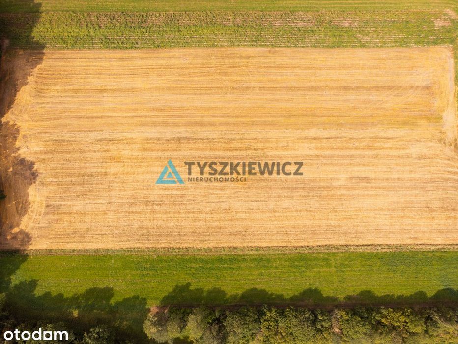 Wydane Warunki Zabudowy | Działka Czeczewo - Widok 6