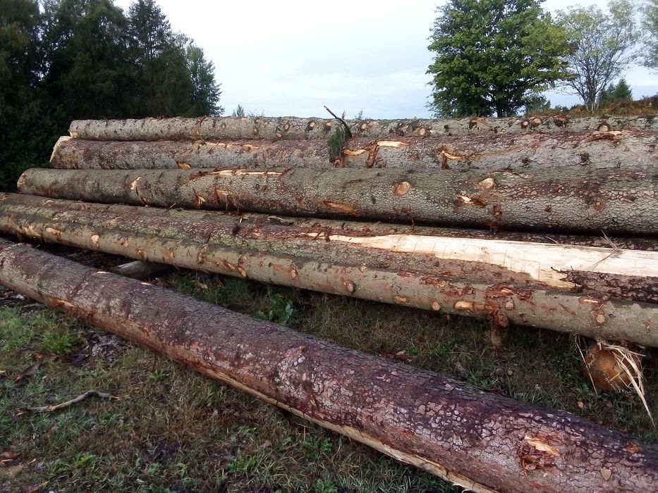 Drewno konstrukcyjne 1200zl /m3