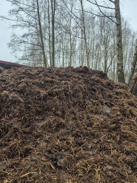Obornik kozi ekologiczny sprzedaż lub wymiana owies, siano