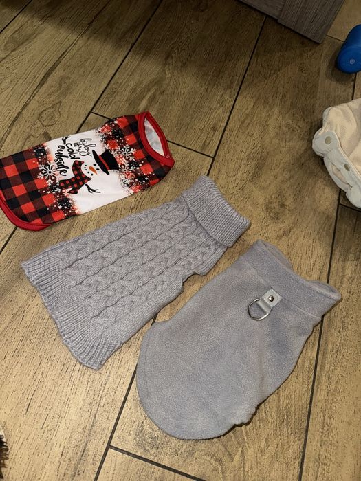 Одежда для собак