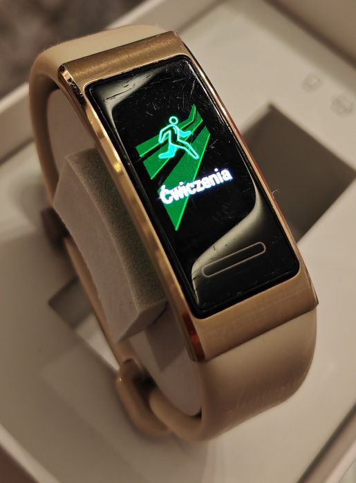 Huawei Band 3 Pro elegant