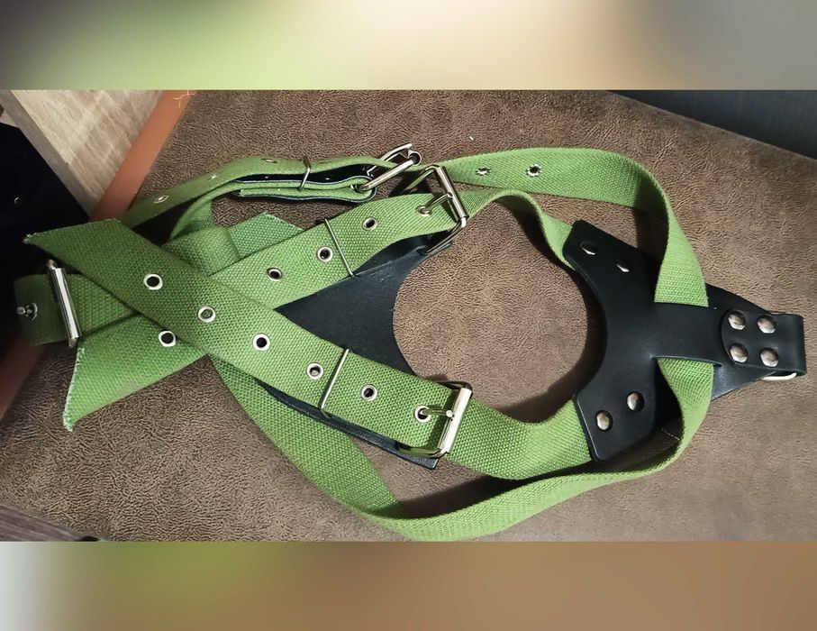 Шлейка для собаки Canem брезентова