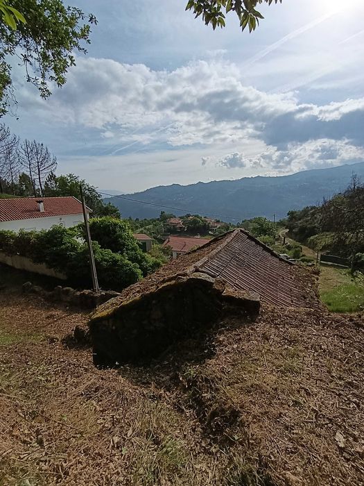Palheiro em pedra com terreno