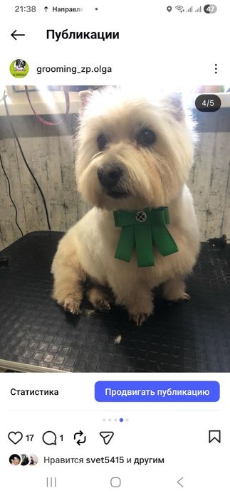 Стрипінг професійно