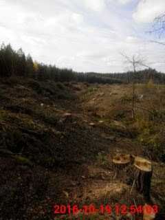 Продам або обміняю земельну ділянку в с.Тетерівське