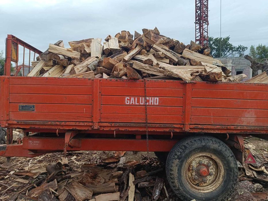 Lenha de mistura seca