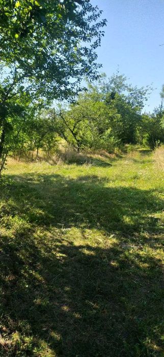 Земельна ділянка з літнім будинком в с.Павлівка