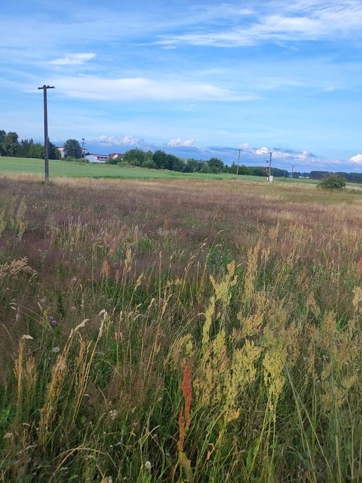 Działka budowlana w Żurominie gmina stężyca - Widok 3