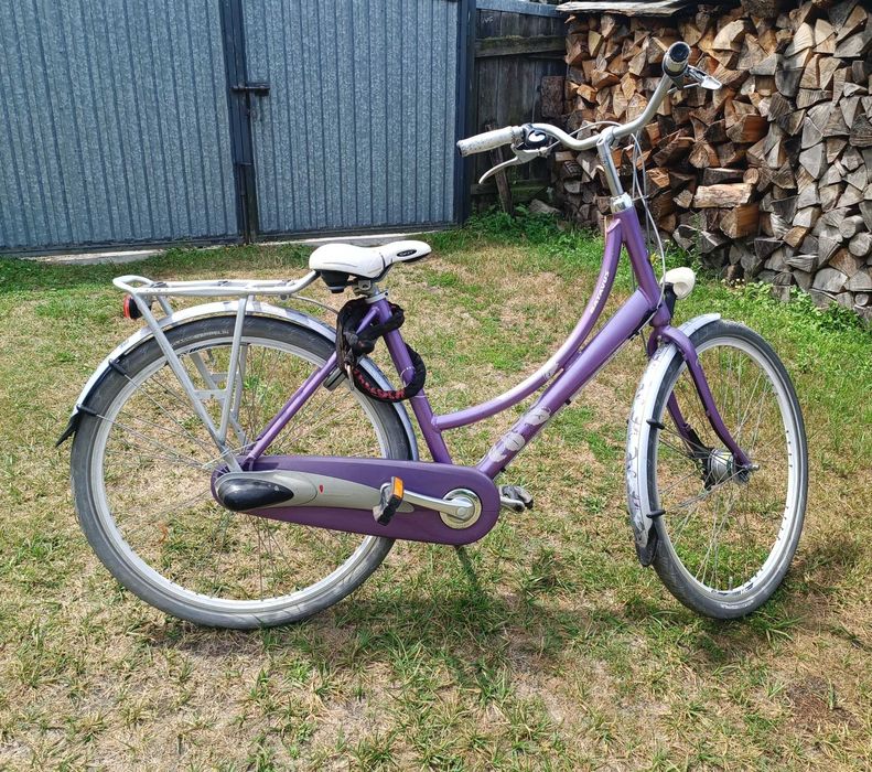 Rower Batavus diva 28 "