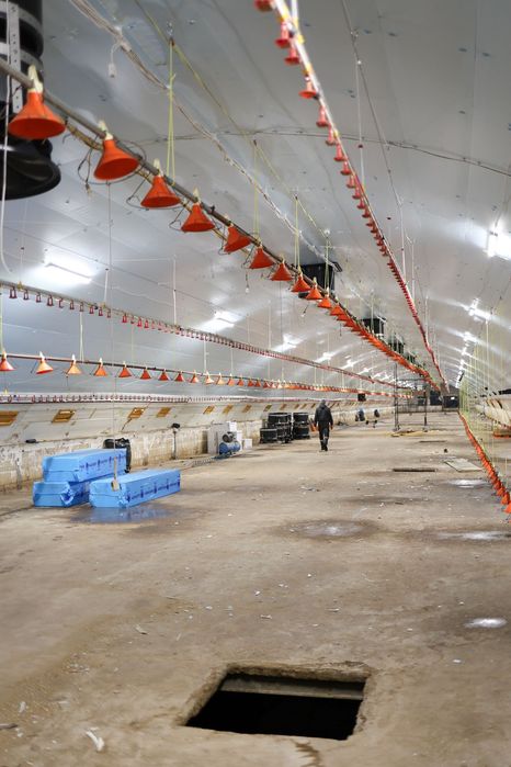 Błękitne Panele Izolacyjne Podsufitka Styrodur XPS AGRO 4,5,6,8,10,12