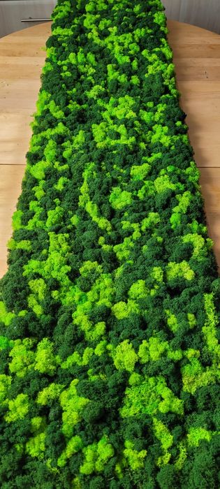 Żywe obrazy, panele z mchu i roślin stabilizowanych na dowolny wymiar