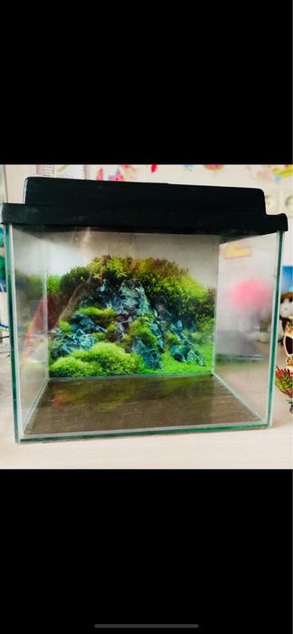 Акваріум для риб