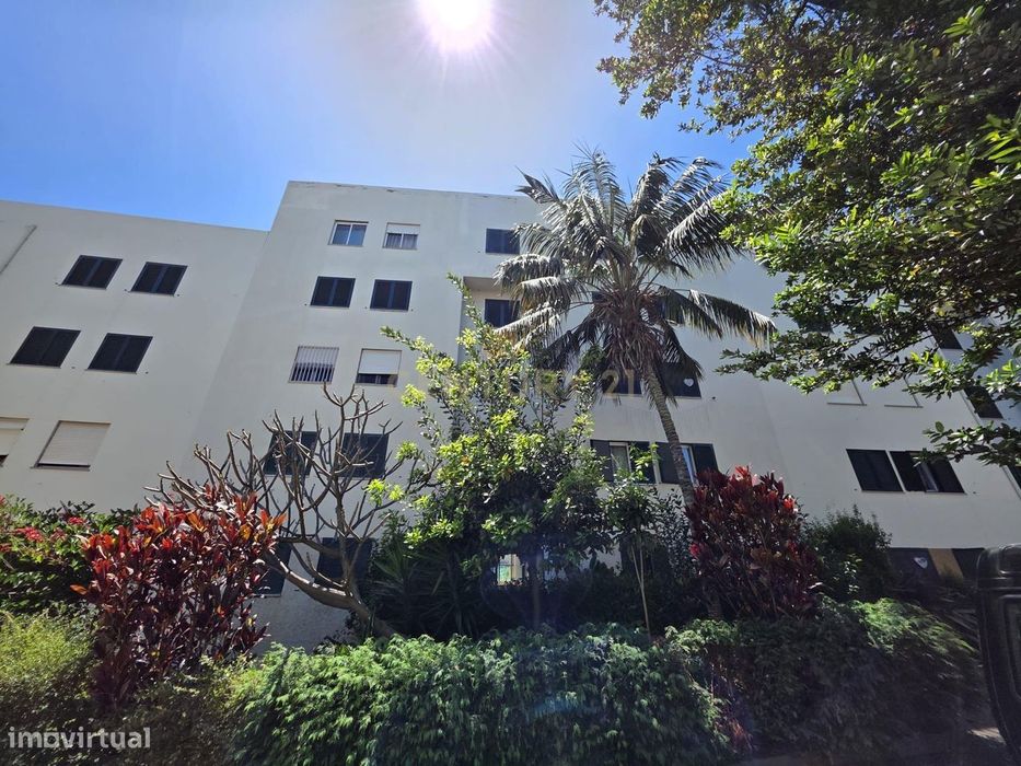 Apartamento T2 na Rua da Australia, São Martinho - OCUPADO