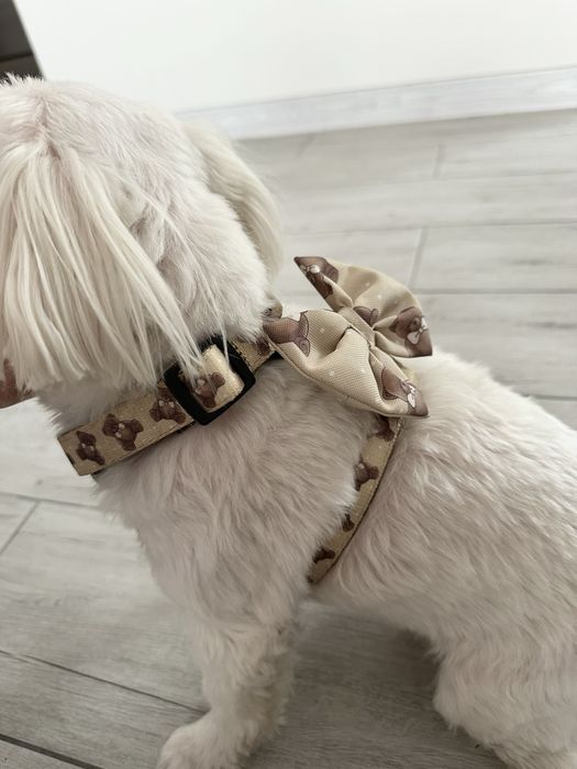 Szelki PUPPYMOUR dla psa rozmiar S, wzor TEDDY BEAR