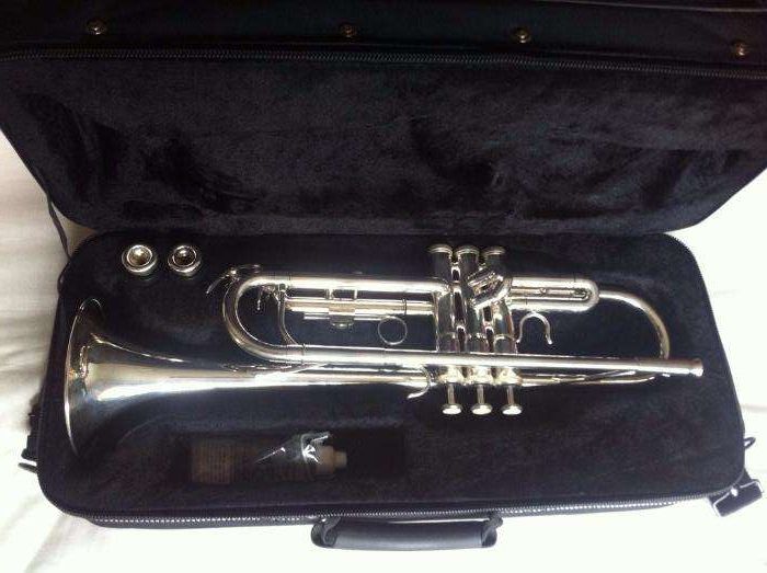 Trompete Roy Benson TR-202S c/ bocal