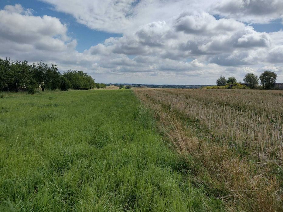 Działka w Cianowicach k. Krakowa