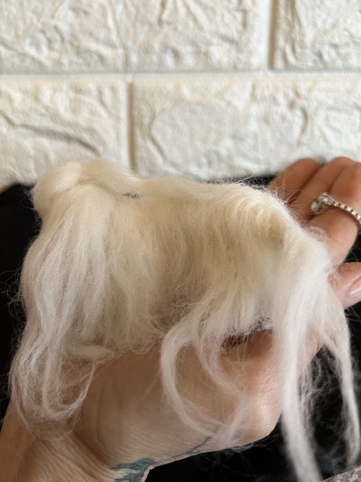 Мальтийская болонка ! Валяние  ! Сувенир! Собачка ! Болонка ! Собака !