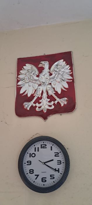 Godło polski orzeł bez korony