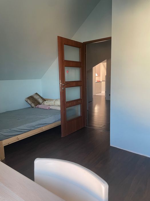 Mieszkanie na wynajem, 2 pokoje, Wilda Poznań - Widok 3