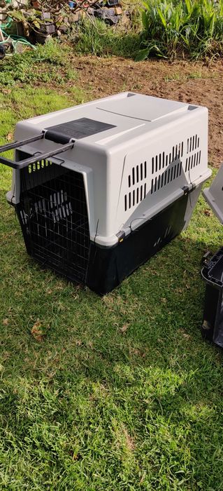 Caixa Transporte Animais XL