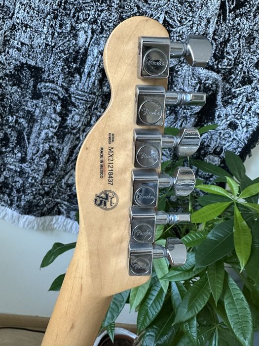 Fender player telecaster MN TPL