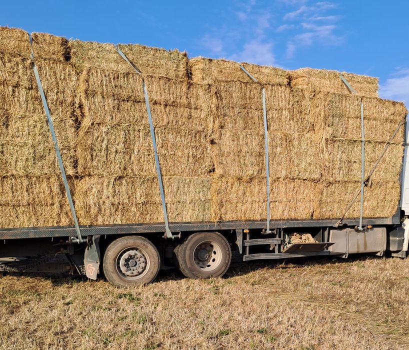 Fardos de feno 80x90 e bolas de fenosilagem