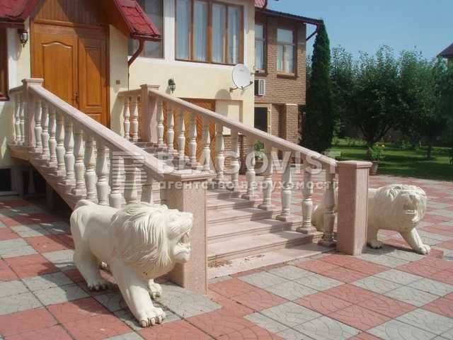 Продаж будинку Великі Дмитровичі, Обухівський район, 1га, без %